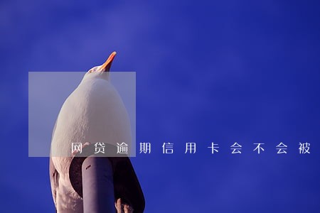 网贷逾期信用卡会不会被降额 网贷逾期信用卡会不会被降额