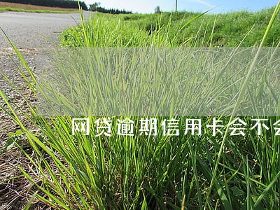 网贷逾期信用卡会不会降额 网贷逾期信用卡会不会降额