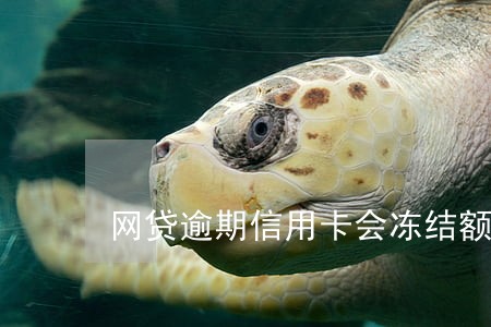 网贷逾期信用卡会冻结额度吗 网贷逾期信用卡会冻结额度吗