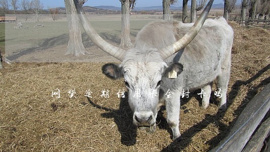网贷逾期信用卡会封卡吗 网贷逾期信用卡会封卡吗