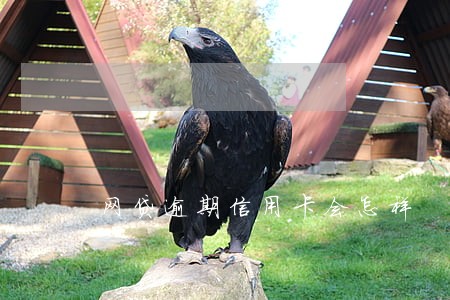 网贷逾期信用卡会怎样 网贷逾期信用卡会怎样