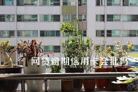 网贷逾期信用卡会批吗 网贷逾期信用卡会批吗