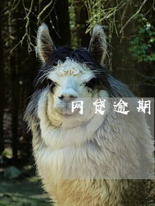 网贷逾期信用卡会被降额吗 网贷逾期信用卡会被降额吗