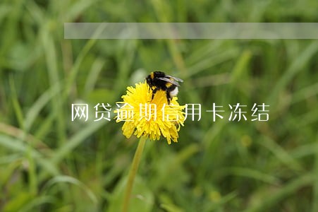 网贷逾期信用卡冻结 网贷逾期信用卡冻结
