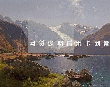 网贷逾期信用卡到期