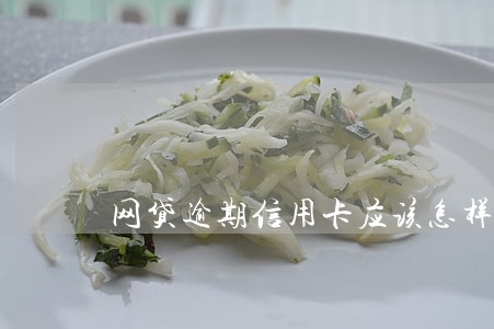 网贷逾期信用卡应该怎样还款浦发