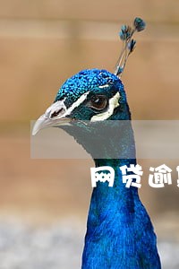 网贷逾期信用卡批下来 网贷逾期信用卡批下来