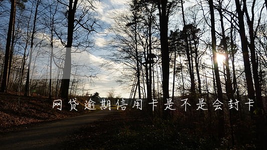 网贷逾期信用卡是不是会封卡
