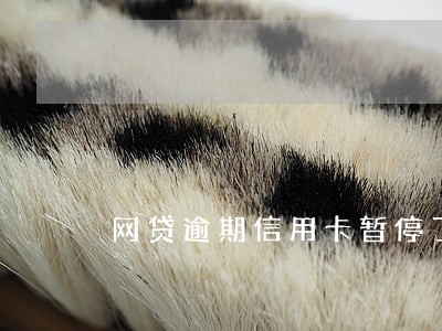 网贷逾期信用卡暂停了 网贷逾期信用卡暂停了