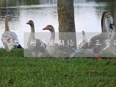 网贷逾期信用卡正常还款有影响没 网贷逾期信用卡正常还款有影响没