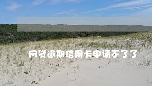 网贷逾期信用卡申请不了了 网贷逾期信用卡申请不了了