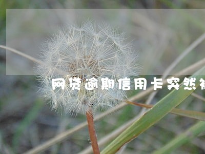 网贷逾期信用卡突然被冻结 网贷逾期信用卡突然被冻结