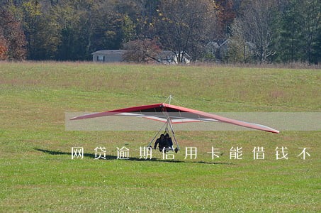 网贷逾期信用卡能借钱不 网贷逾期信用卡能借钱不
