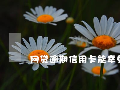 网贷逾期信用卡能幸免吗 网贷逾期信用卡能幸免吗