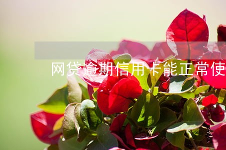 网贷逾期信用卡能正常使用吗 网贷逾期信用卡能正常使用吗