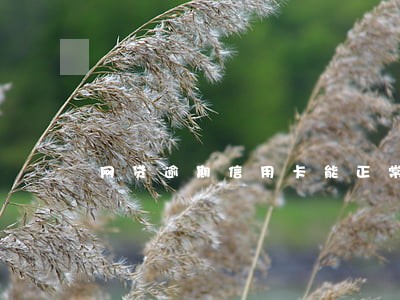 网贷逾期信用卡能正常用 网贷逾期信用卡能正常用