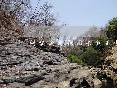 网贷逾期信用卡能正常用算黑户吗 网贷逾期信用卡能正常用算黑户吗