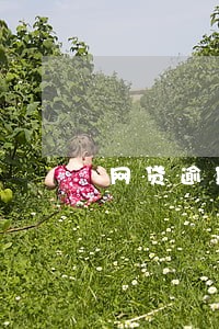 网贷逾期信用卡被冻结能解开吗