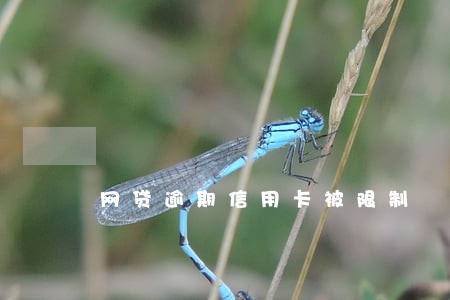 网贷逾期信用卡被限制