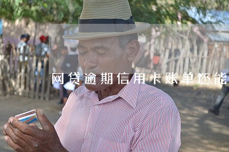 网贷逾期信用卡账单还能分期吗 网贷逾期信用卡账单还能分期吗