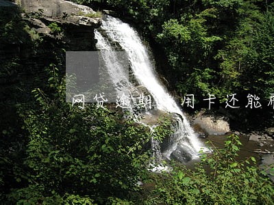 网贷逾期信用卡还能刷吗 网贷逾期信用卡还能刷吗