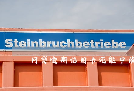 网贷逾期信用卡还能申请下来吗 网贷逾期信用卡还能申请下来吗