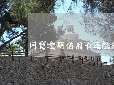 网贷逾期信用卡还能继续用吗 网贷逾期信用卡还能继续用吗