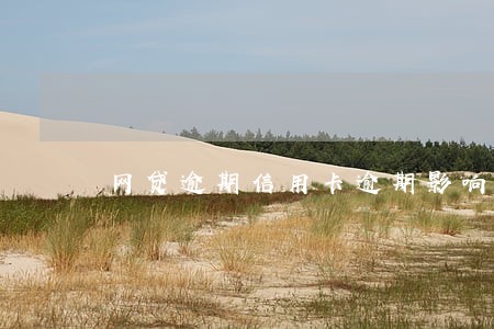 网贷逾期信用卡逾期影响前妻 网贷逾期信用卡逾期影响前妻