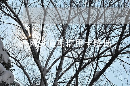 网贷逾期信用卡降低 网贷逾期信用卡降低