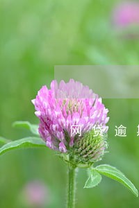 网贷逾期信用卡降额负债累累 网贷逾期信用卡降额负债累累
