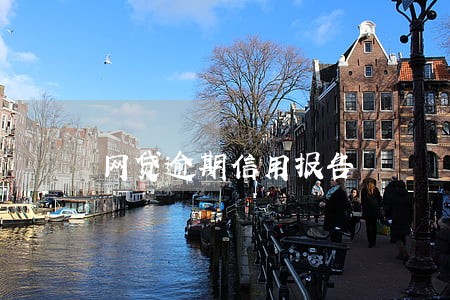 网贷逾期信用报告 网贷逾期信用报告