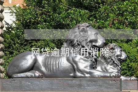 网贷逾期信用消除 网贷逾期信用消除