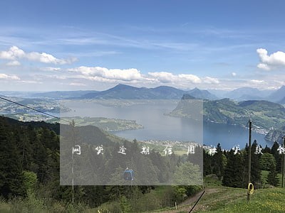 网贷逾期信用社贷款能贷下来吗 网贷逾期信用社贷款能贷下来吗