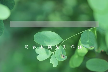网贷逾期信用诈骗 网贷逾期信用诈骗