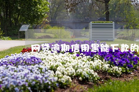 网贷逾期信用黑能下款的口子