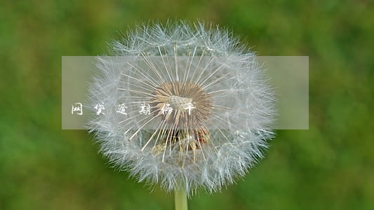 网贷逾期俩千 网贷逾期俩千