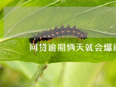 网贷逾期俩天就会爆通讯录 网贷逾期俩天就会爆通讯录