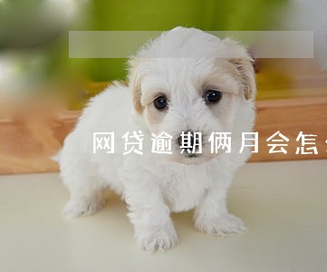 网贷逾期俩月会怎么样 网贷逾期俩月会怎么样