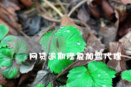 网贷逾期修复加盟代理 网贷逾期修复加盟代理