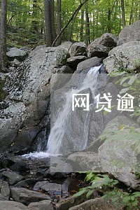 网贷逾期修改服务密码的好处 网贷逾期修改服务密码的好处