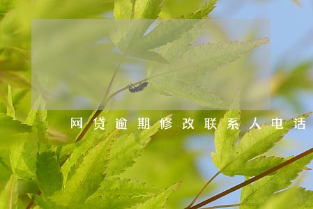 网贷逾期修改联系人电话 网贷逾期修改联系人电话