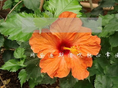 网贷逾期借呗能正常使用吗 网贷逾期借呗能正常使用吗