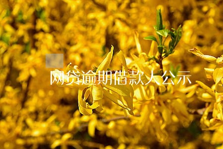 网贷逾期借款人公示 网贷逾期借款人公示