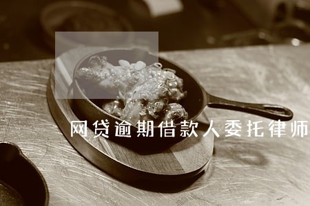 网贷逾期借款人委托律师 网贷逾期借款人委托律师
