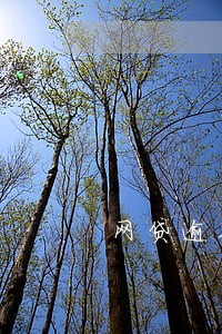 网贷逾期借款人怎么办 网贷逾期借款人怎么办