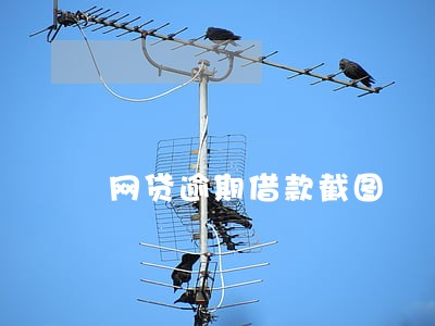 网贷逾期借款截图 网贷逾期借款截图
