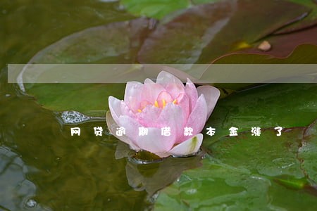 网贷逾期借款本金涨了 网贷逾期借款本金涨了