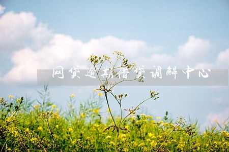 网贷逾期借贷调解中心 网贷逾期借贷调解中心