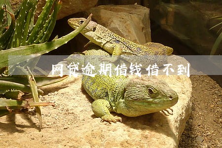 网贷逾期借钱借不到 网贷逾期借钱借不到