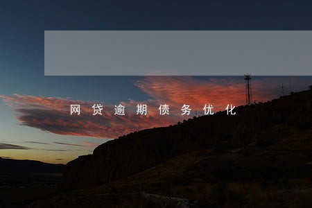 网贷逾期债务优化 网贷逾期债务优化